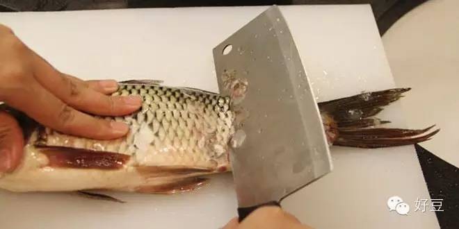 如何杀鱼及杀鱼的技巧（分享1个简单易学的杀鱼技巧）