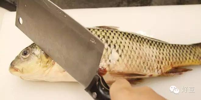 如何杀鱼及杀鱼的技巧（分享1个简单易学的杀鱼技巧）