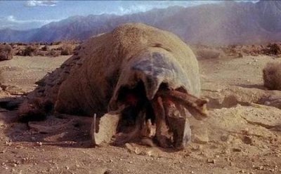 ​死亡之虫怕什么(长生志异,开局菜市口被斩首)