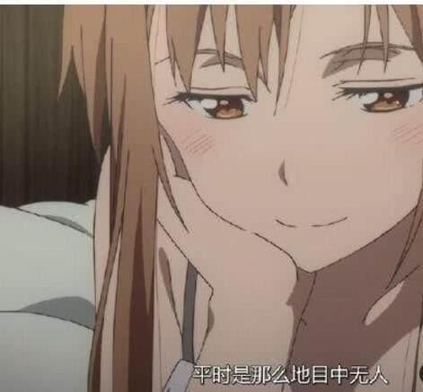 刀剑神域亚丝娜图鉴（刀剑神域中亚丝娜为什么被称作本子娜）(3)