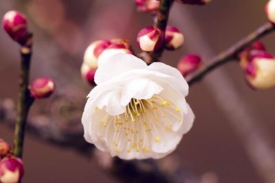 ​老公有没有出轨测试题（测你的另一半有没有精神出轨）