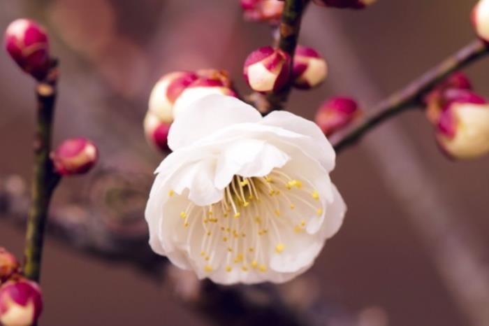 老公有没有出轨测试题（测你的另一半有没有精神出轨）