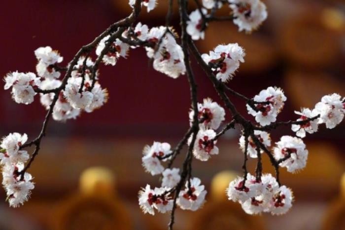 老公有没有出轨测试题（测你的另一半有没有精神出轨）