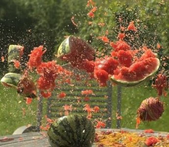 ​40亩没熟的西瓜突然疯狂爆炸，专家研究后的结果让瓜农后悔莫及