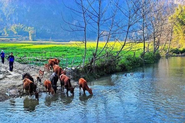 被誉为最后的世外桃源，坝美村，你去过吗？