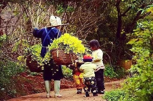 被誉为最后的世外桃源，坝美村，你去过吗？