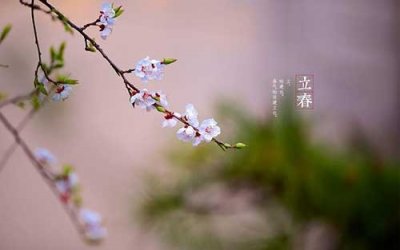 ​立春节气的特点和风俗