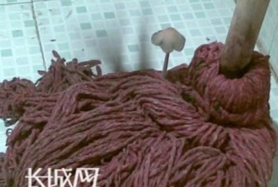 ​拖把上长蘑菇怎么回事,拖把为什么长出蘑菇了