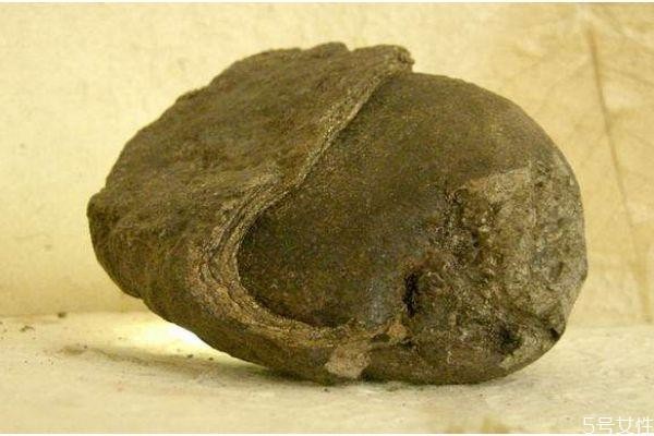 什么是龙涎香呢 龙涎香有什么作用呢