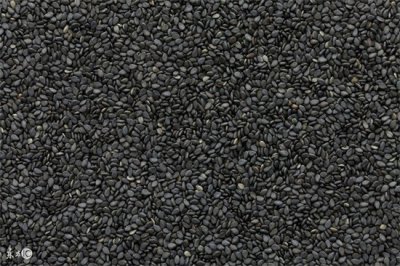 ​芝麻的功效与作用（帮助补充铁质 促进宝宝骨骼和牙齿的发育）