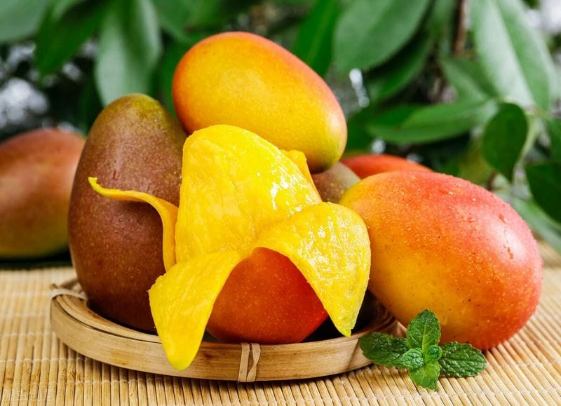 贵妃芒熟了是硬的吗（贵妃芒怎么样才是熟了）