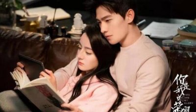 ​推举几部佳瞅的电视剧，2025电视剧排行榜_你是尔的光荣最火