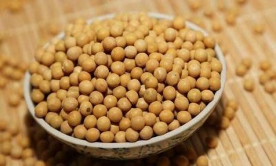 ​吃大豆会发胖吗，吃什么豆会胖？