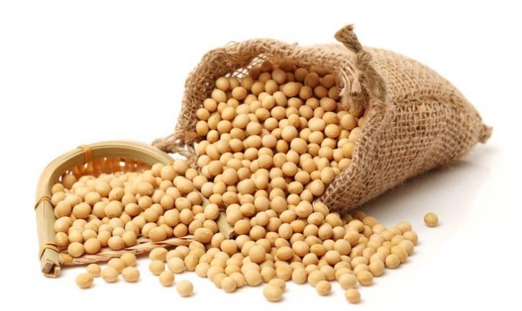 大豆和米饭哪个容易胖