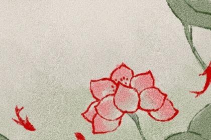 爆笑经典撩妹的笑话，撩得妹子哈哈大笑