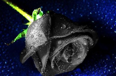 ​男人有这三个明显地表现，证明他对你没新鲜感了