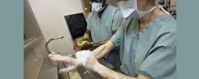 ​洗手指征两前三后