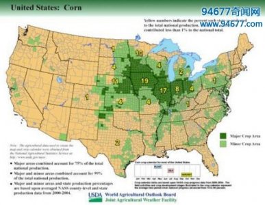 ​世界上生产玉米最多的国家是哪个?美国第一中国排名第二