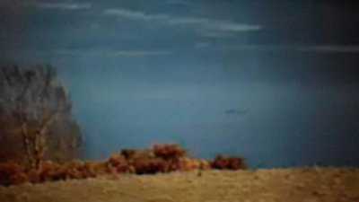 ​爱尔兰游客称在苏格兰尼斯湖直击长达20尺水怪 获尼斯湖水怪观光登记处认证