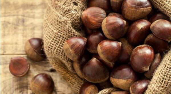 生板栗去壳去皮窍门（板栗去壳去皮最有效的方法）(2)_