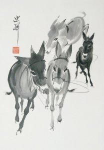 ​众人皆知，赵忠祥“画驴”是一绝！