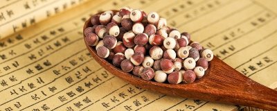 ​李时珍是哪个朝代的人物 本草纲目的介绍