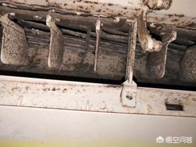 ​什么行业适合创业起步(五大创业趋势的是( ))