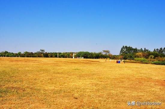 东莞国家城市湿地公园之 生态园风筝公园
