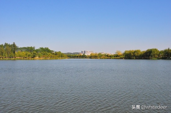 东莞国家城市湿地公园之 生态园风筝公园