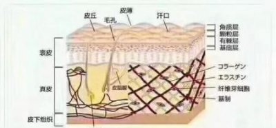 ​皮肤到底需不需要去角质(油性皮肤要去角质吗)