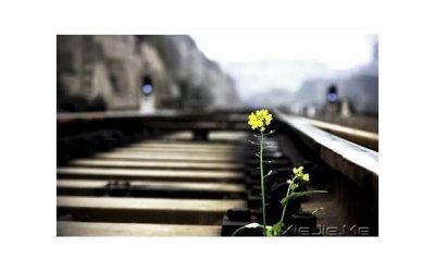 ​35岁失业男人从零开始不可怕-只要努力任何时候都不晚