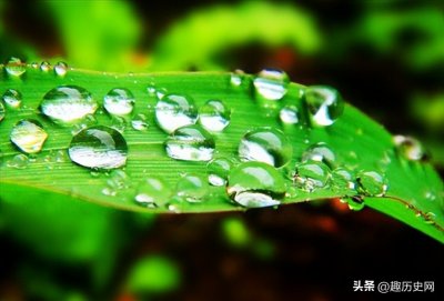 ​古人口中所说的甘露是什么意思