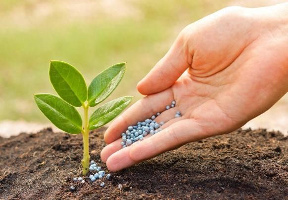 硫酸钾复合肥料的作用及用途(什么叫硫酸钾型复合肥)