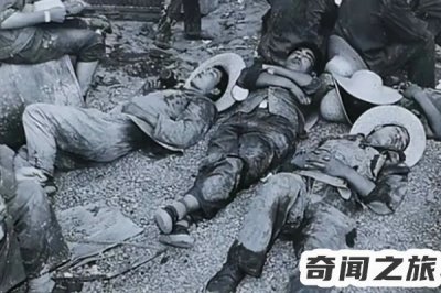 ​中国八三年蛇灾（目睹过成千上万条蛇在水中翻涌）