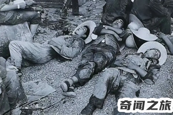 中国八三年蛇灾（目睹过成千上万条蛇在水中翻涌）(1)_