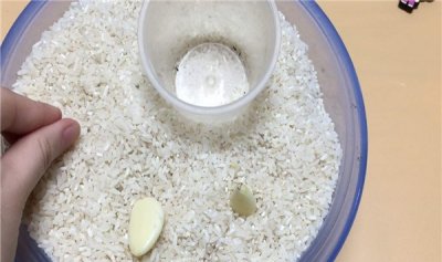 ​大米生虫子还能吃吗 不妨吃（没有会作用身材健壮）