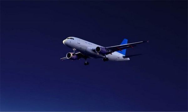 男子在飞机上大声喊叫 是精神状态异常 还是有未卜先知的能力