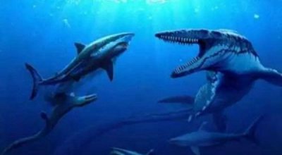 ​白垩刺甲鲨有多长?长度为5-7米之间相称恐惧