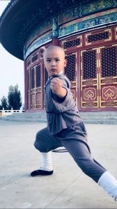 ​少林小子金娃被业内人士称为下一代释小龙