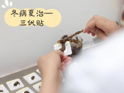 ​冬病夏治三伏贴穴位主治（老慢支三伏敷贴选穴建议）
