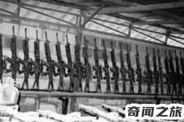 1982年河南安阳灵异事件（1982年河南安阳武器库被盗事件）(3)_