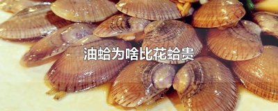 ​油蛤为啥比花蛤贵