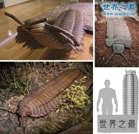 地球上的远古十大怪兽，比恐龙可怕一万倍