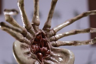 ​抱脸虫果然存在吗?没有存在，怪僻外星生物_血液有腐化性