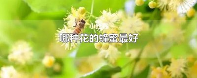 ​哪种花的蜂蜜最好
