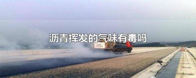 ​沥青的气味有没有毒 沥青挥发物有毒吗