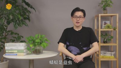 ​蜻蜓是益虫吗