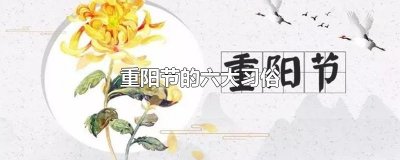 ​重阳节的六大习俗