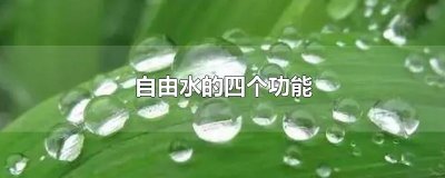 ​自由水的四个功能