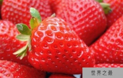 ​【最脏水果】最脏的水果 到底还能不能吃